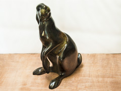 HARE
