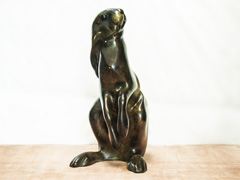 HARE