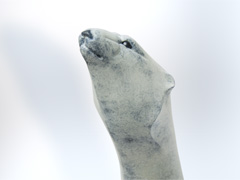 Sun Salutation - Polar Bear