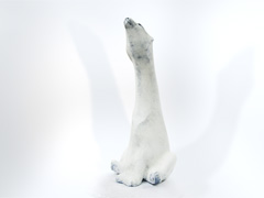 Sun Salutation - Polar Bear