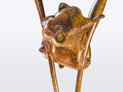 I SPY WITH MY LITTLE EYE!