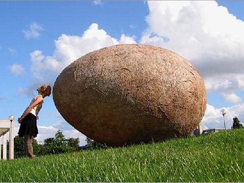 Noah's Egg by Rachel Joynt