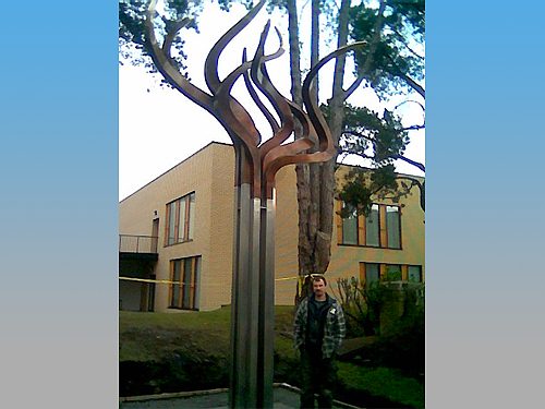 Tree of Life by Colm Brennan